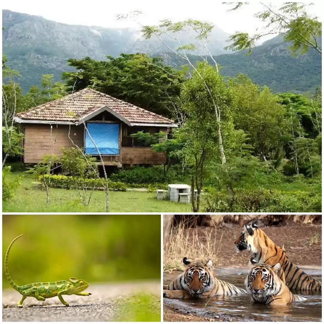 Photo of हिमाचल और उत्तराखण्ड
