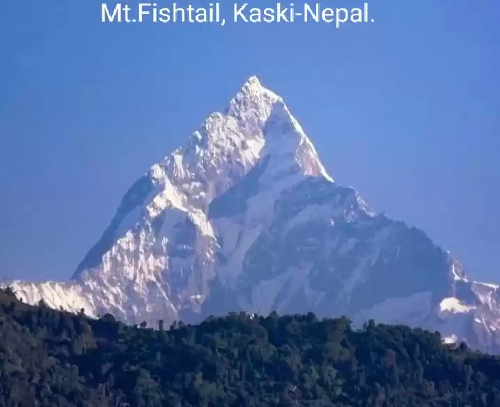 Photo of Beautiful mount fish
