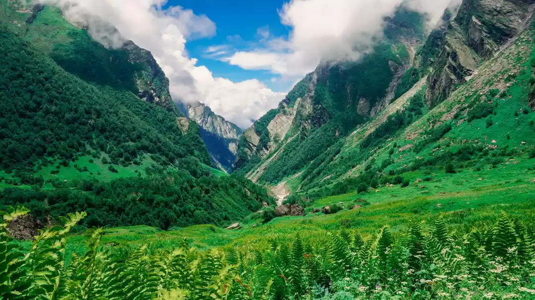 Photo of 2021 valley of flow