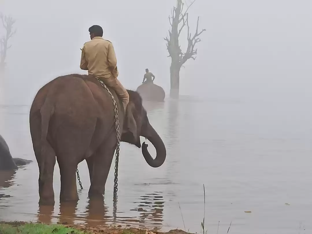 Photo of So adorable. Can i j