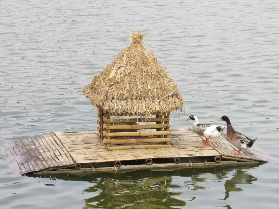 Photo of Sankey Tank view