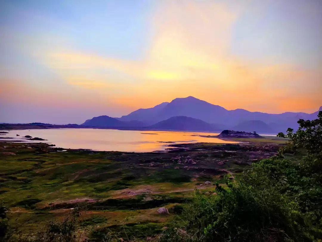 Photo of Valparai - The unexp