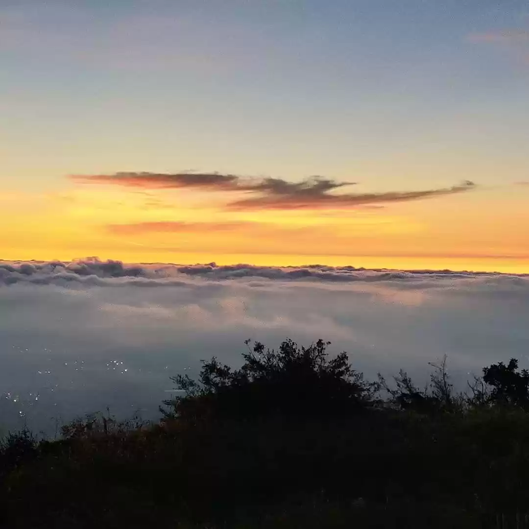 Photo of Knock knock - Welcom