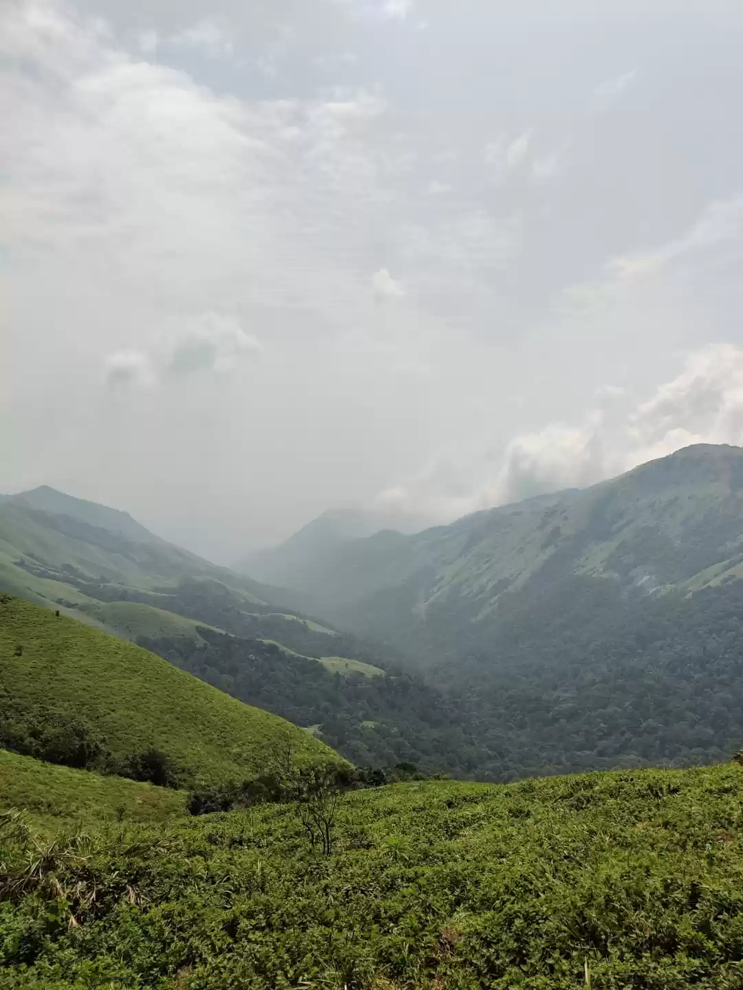 Photo of Devaramane - A must 