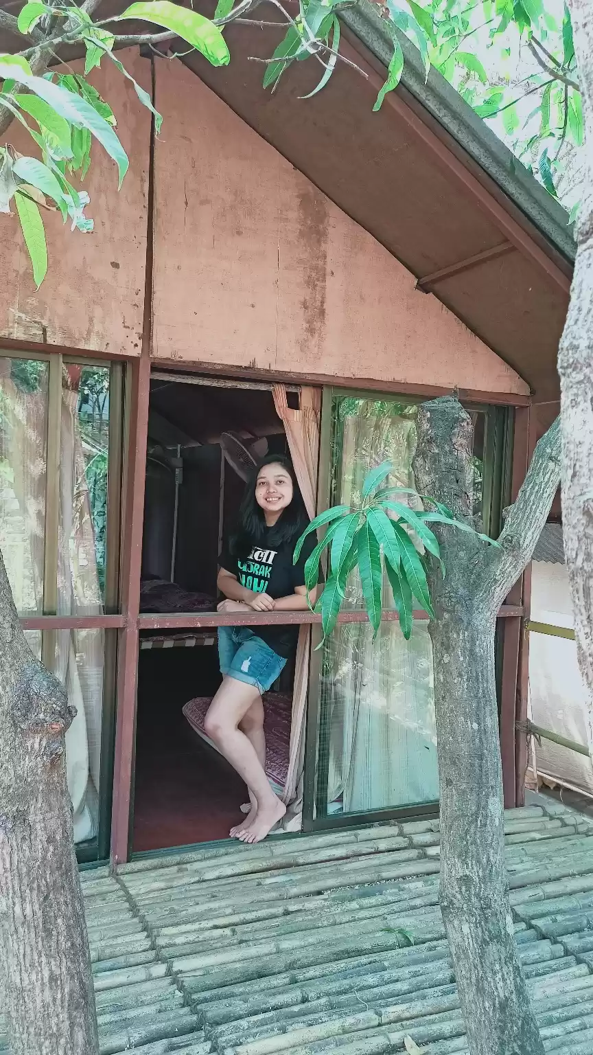 Photo of Tree house
