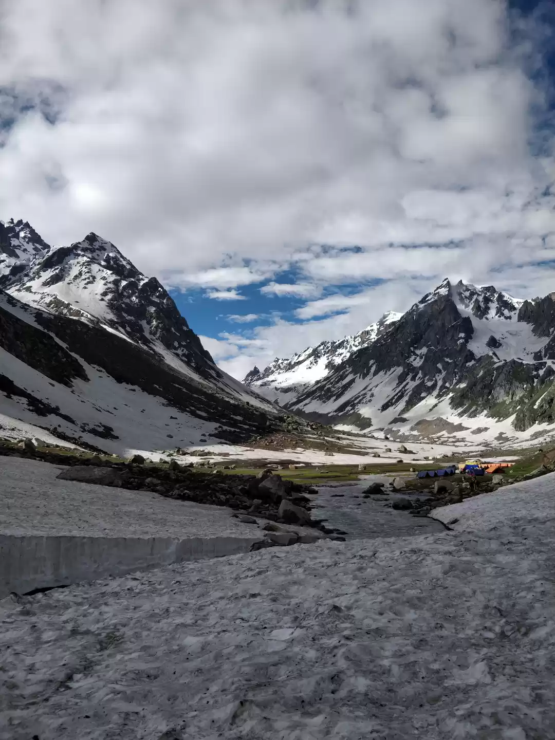 Photo of My First Himalayan T