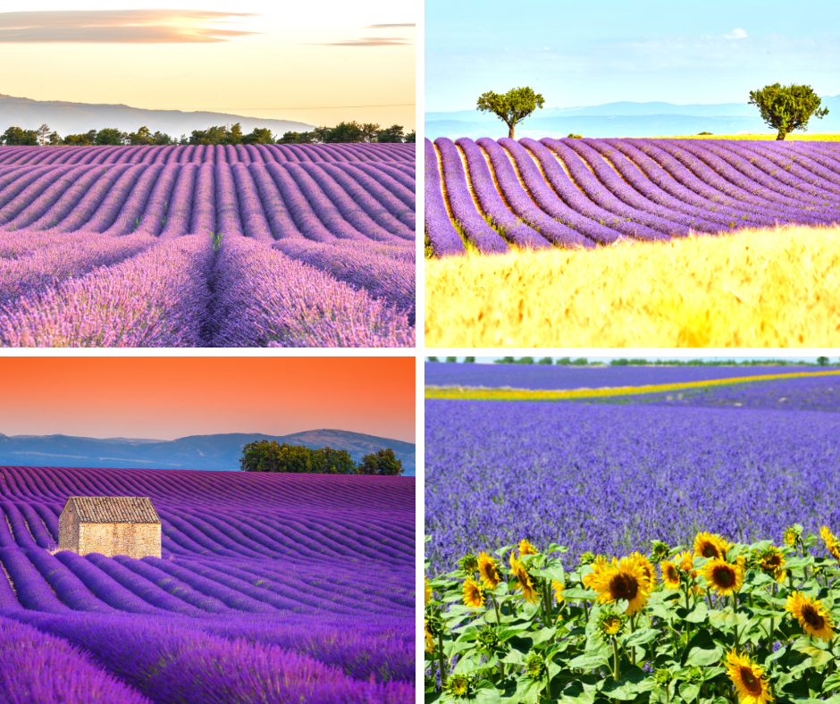 Photo of Provence, France