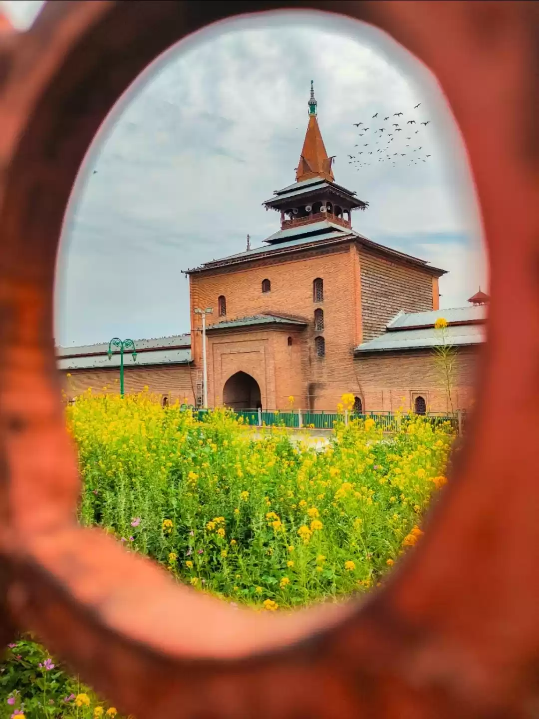 Photo of Magical shots at Dow