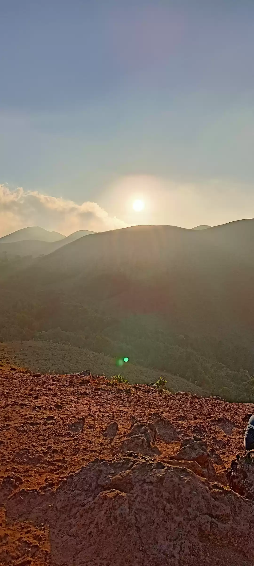 Photo of Nature has its own w