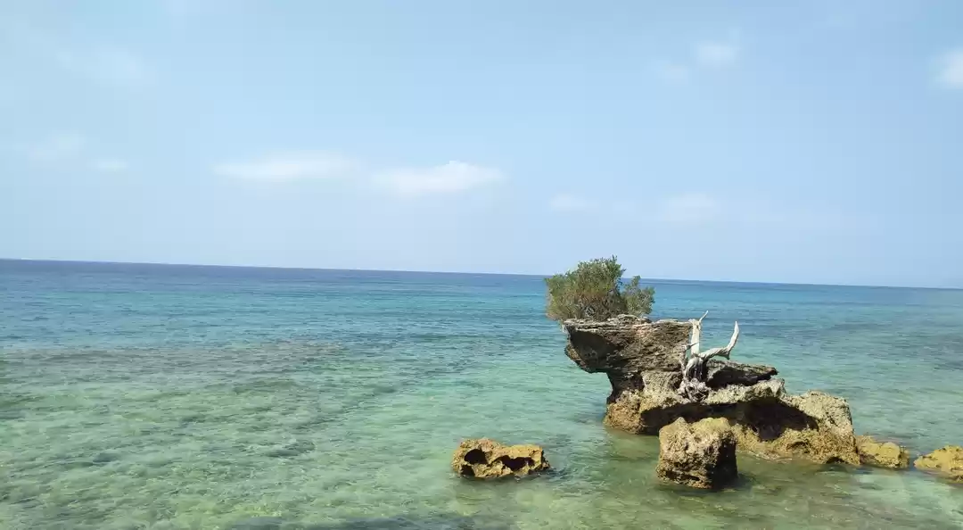 Photo of Family Time in Andam