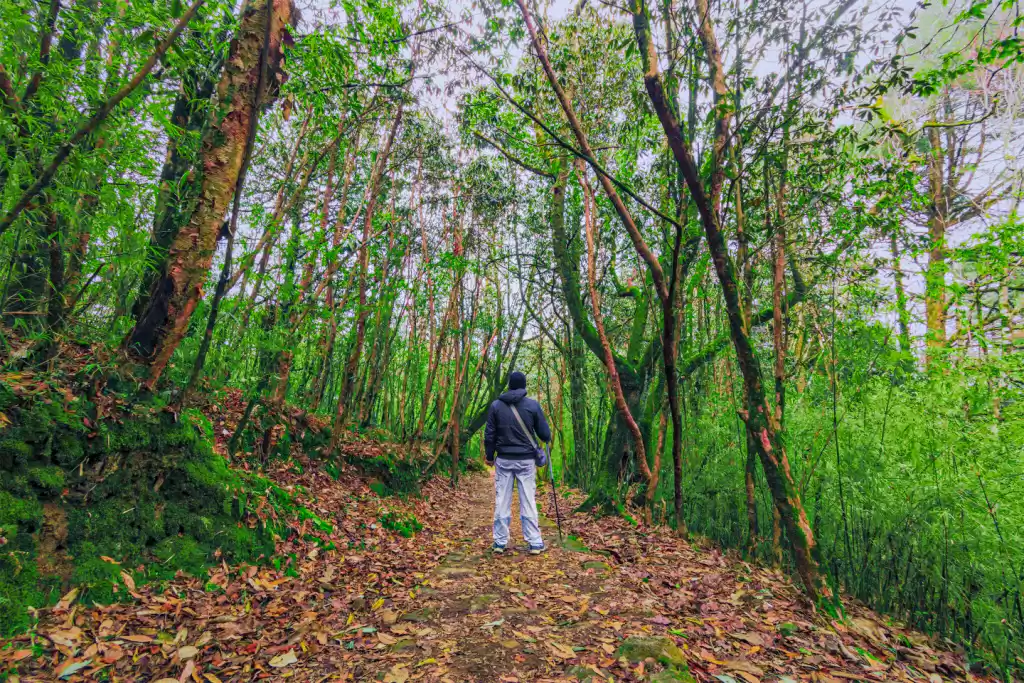 Photo of Dhotrey: Mountains a