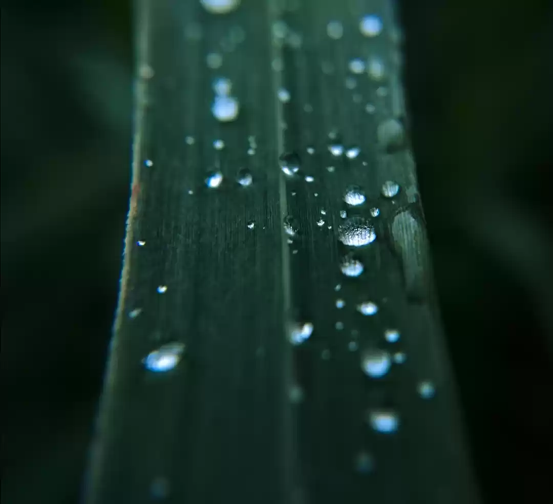 Photo of Crystal