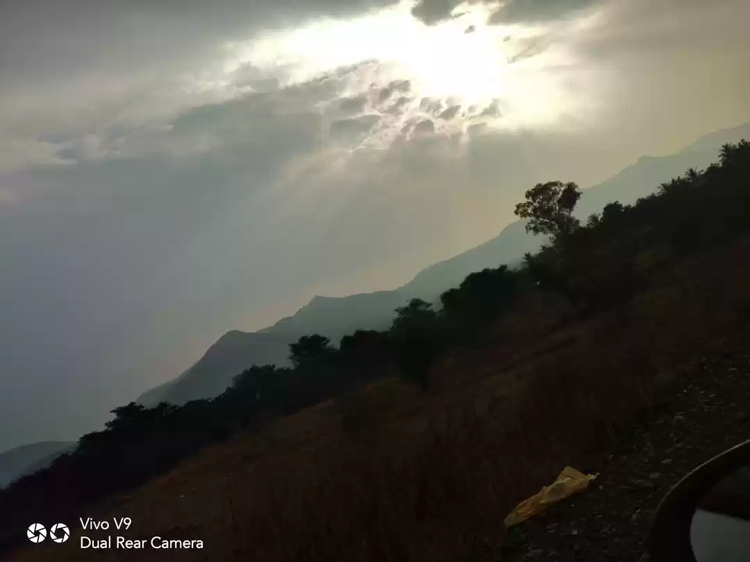 Photo of Amazing Trip