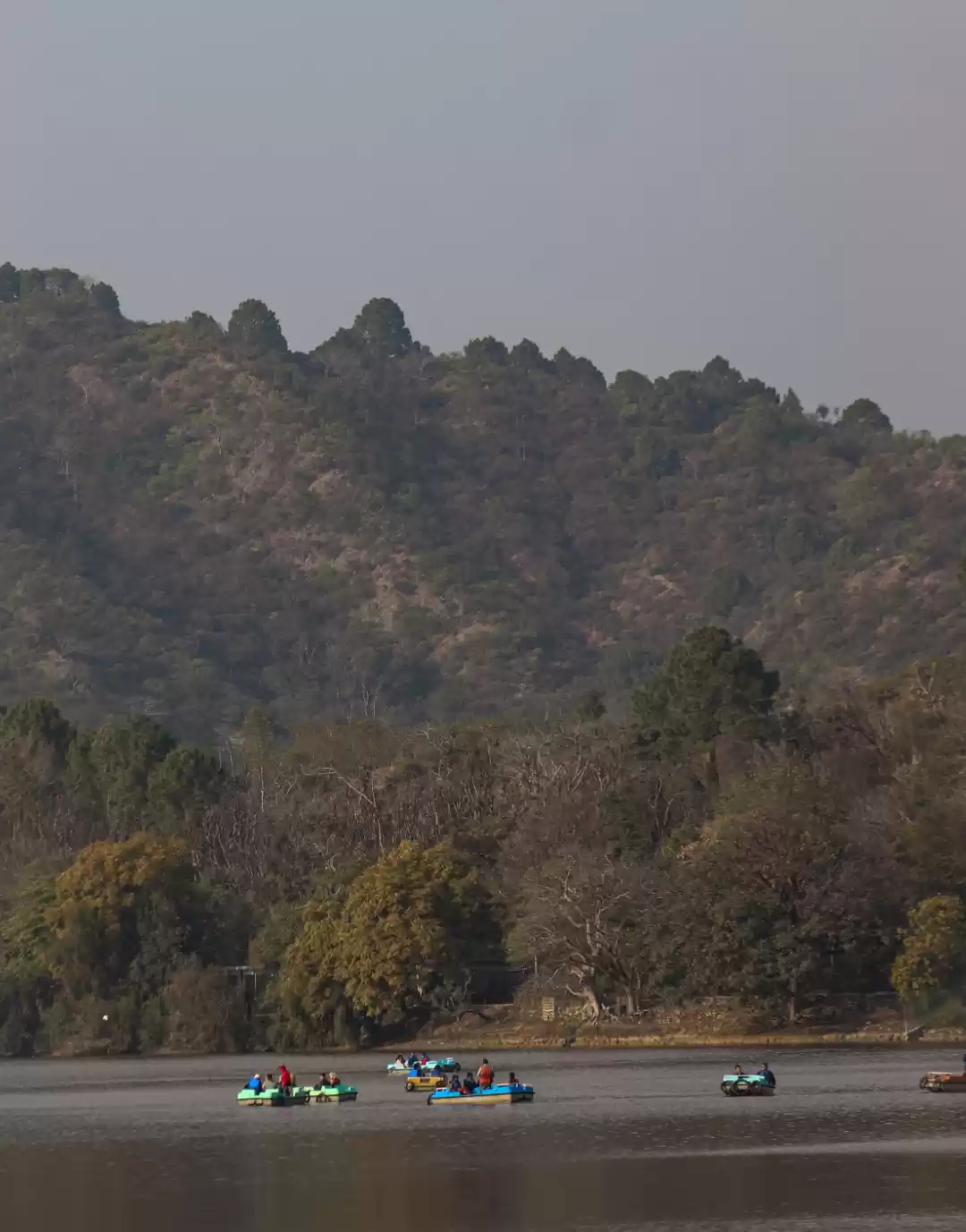 Photo of Mansar Lake Jammu