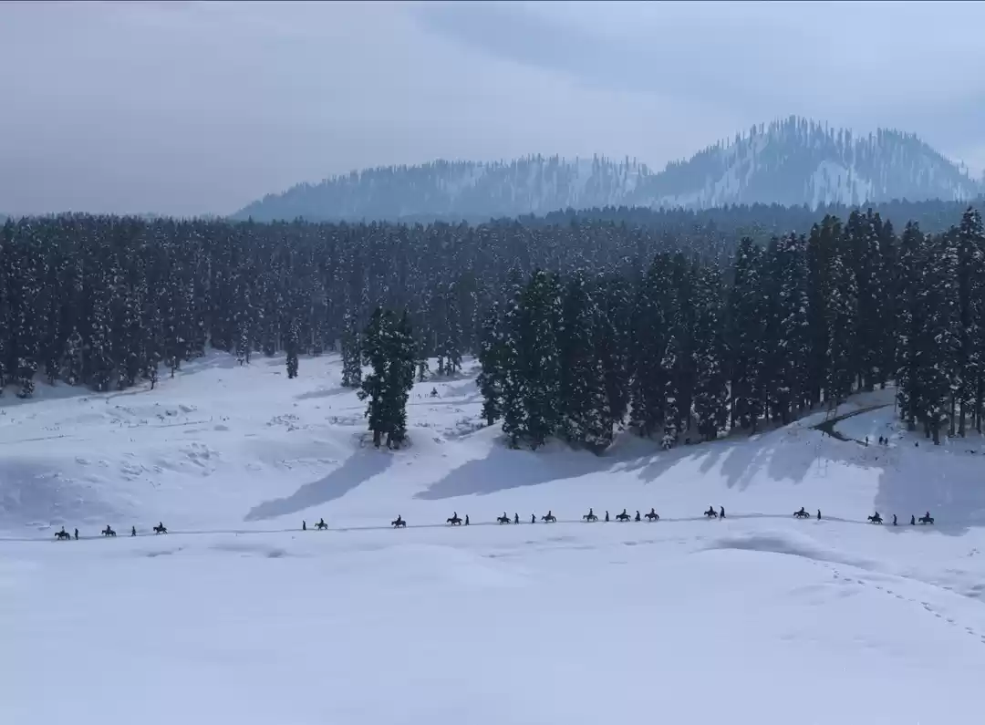 Photo of The proper Sequence
