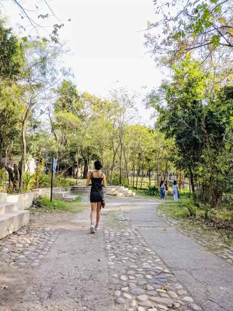 Photo of Rishikesh through my