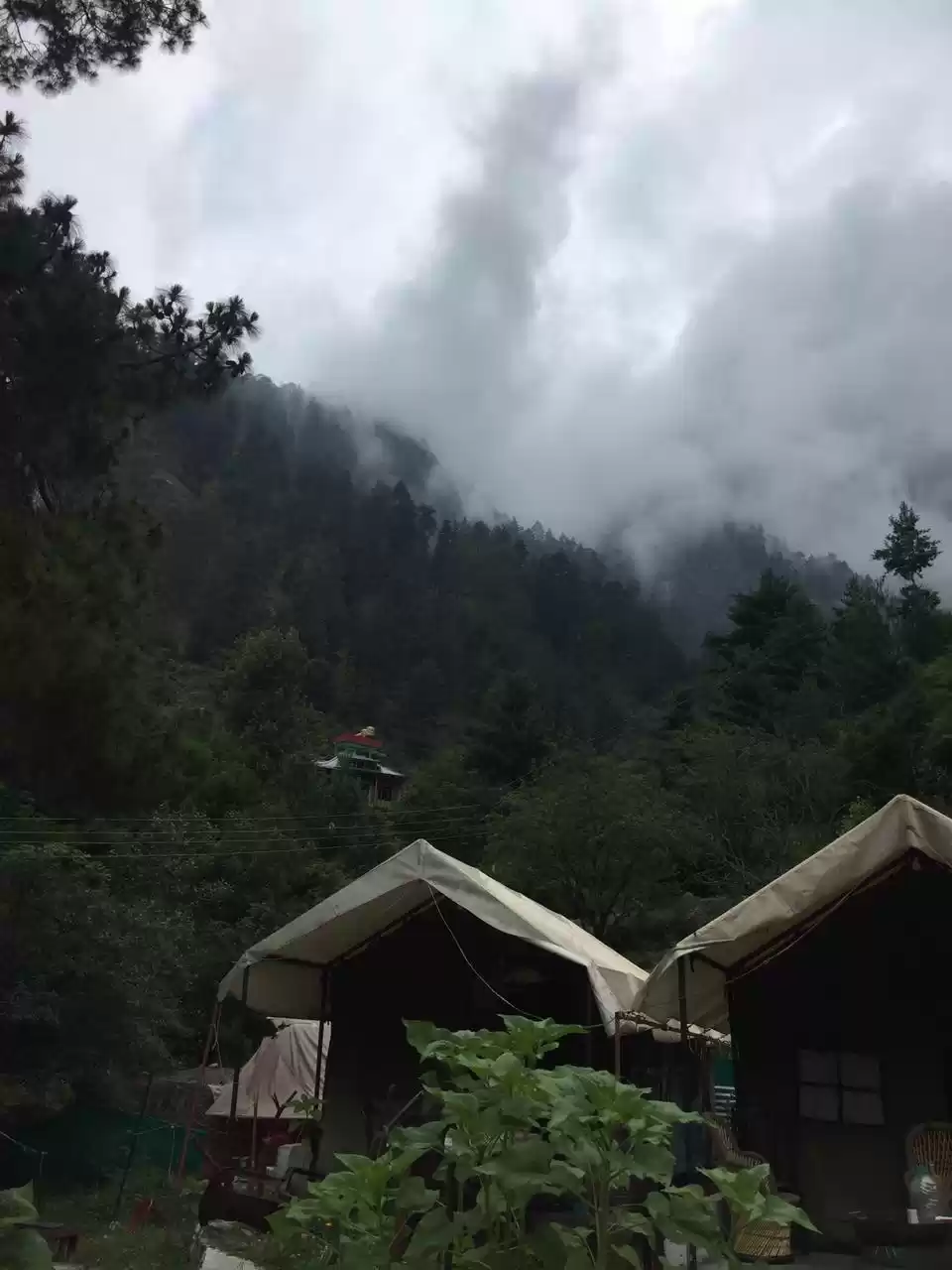Photo of Dhua dhua ho raha ha