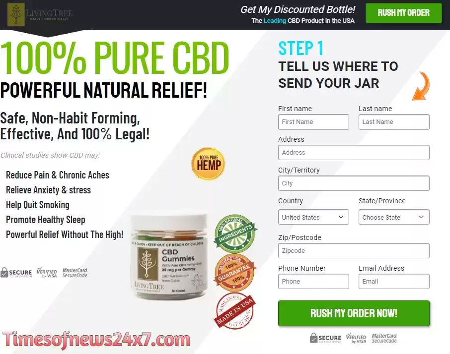 Photo of Living Tree CBD Gummies