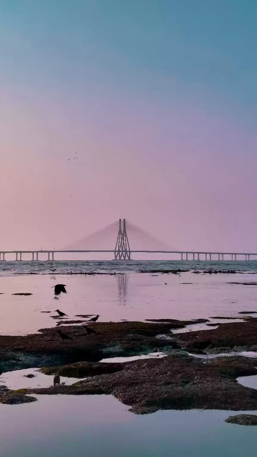 Photo of Dadar Chowpathy, Mum