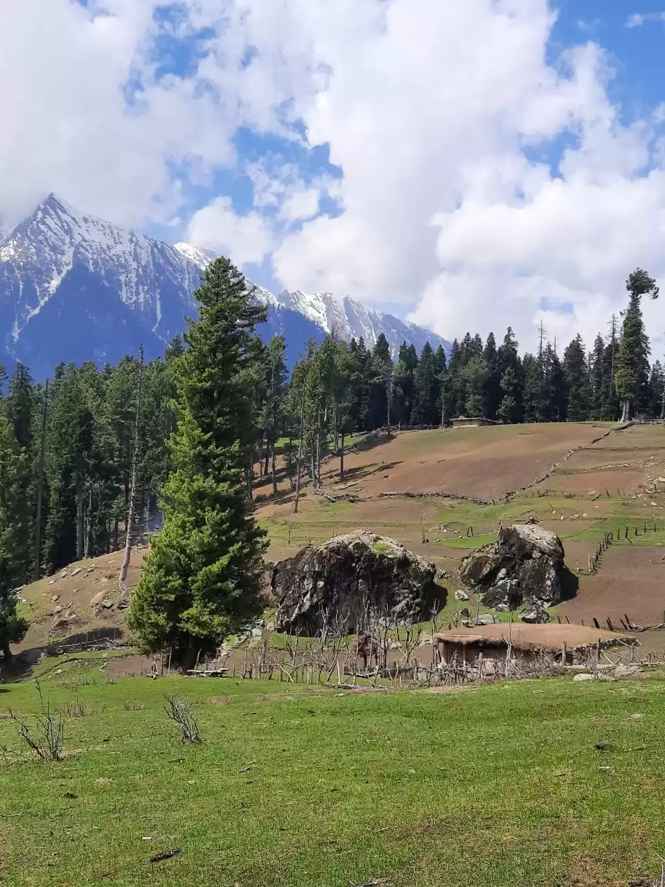 Photo of All seasons of Kashm