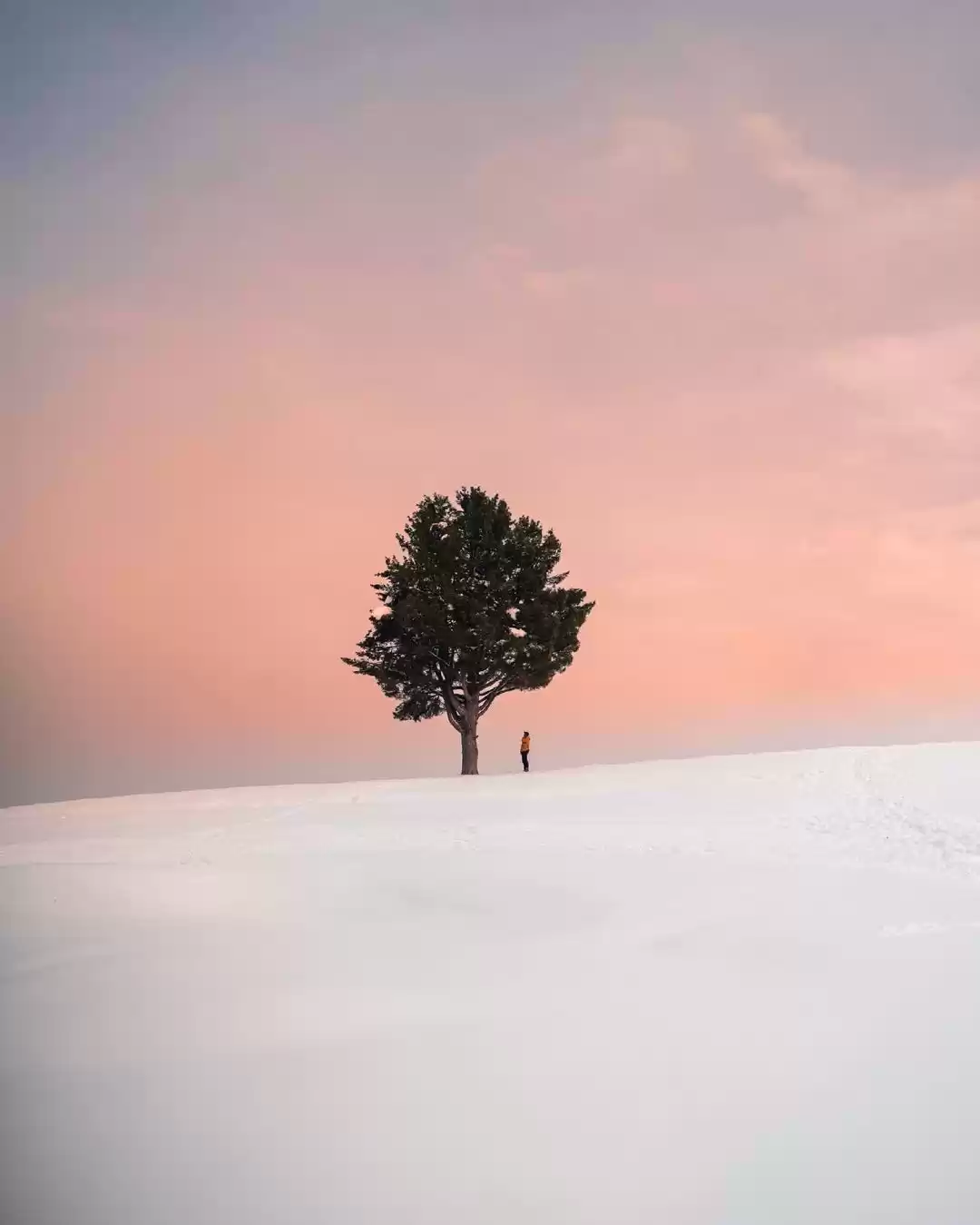 Photo of Kashmir, The Winter