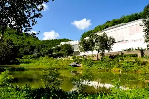 Photo of Thailand: A Luxury T