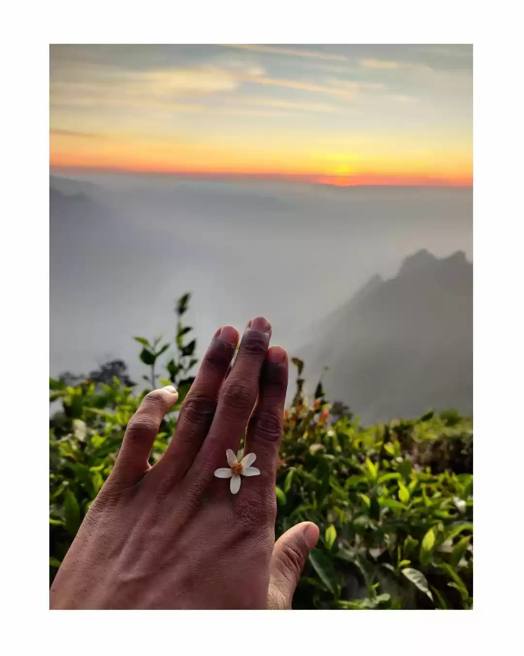Photo of Kolukkumalai sunrise
