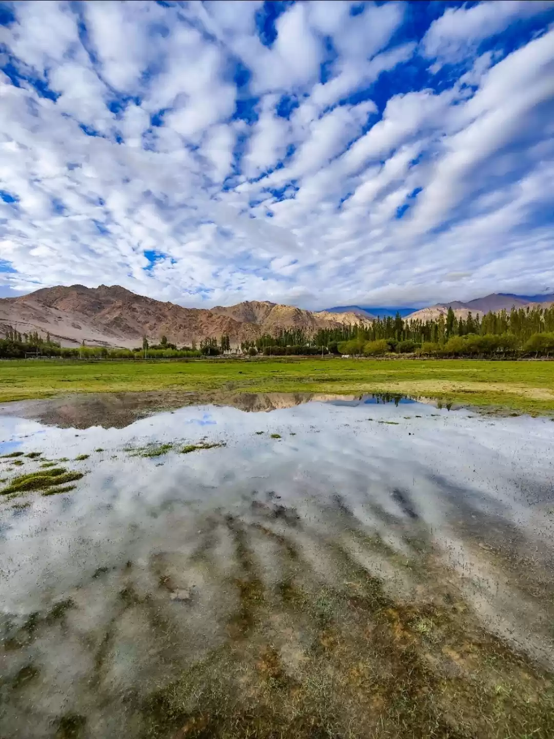 Photo of An evening view of t