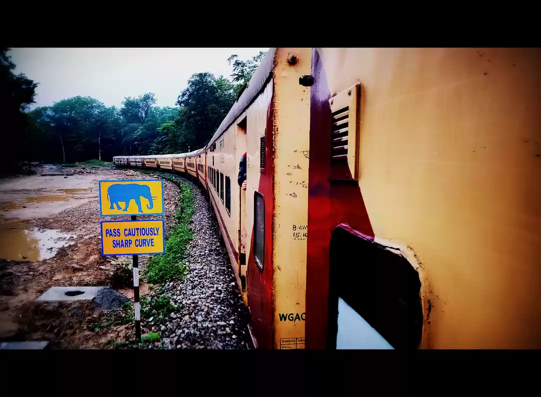 Photo of Delightfully Dooars 