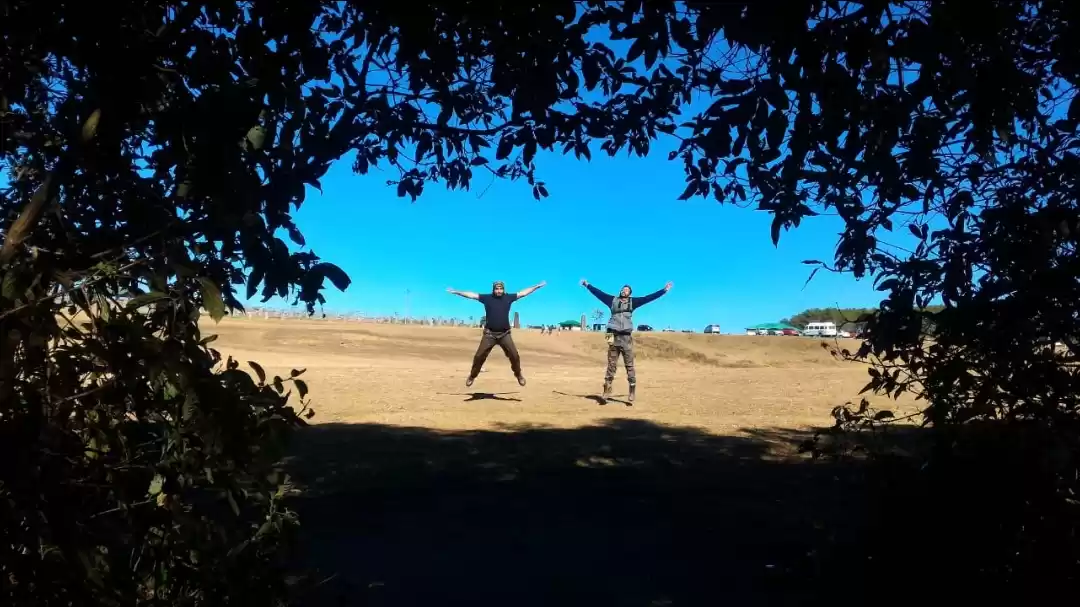 Photo of This sacred forest w