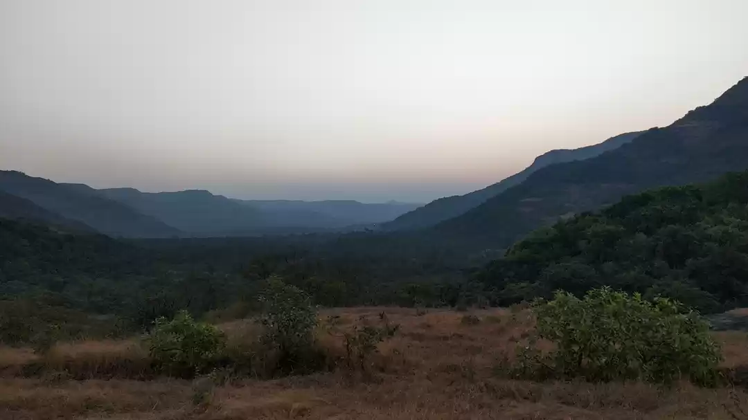 Photo of My "much needed brea