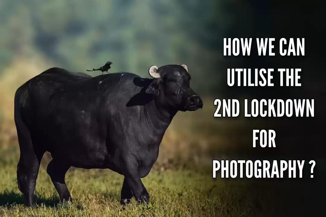 Photo of COVID - REALLY A BRE