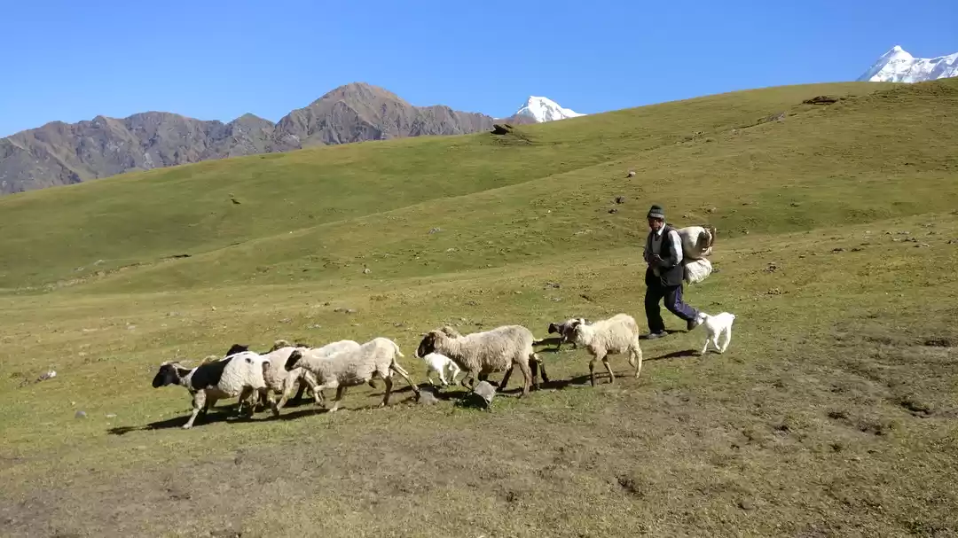 Photo of Trek to Bedni Bugyal