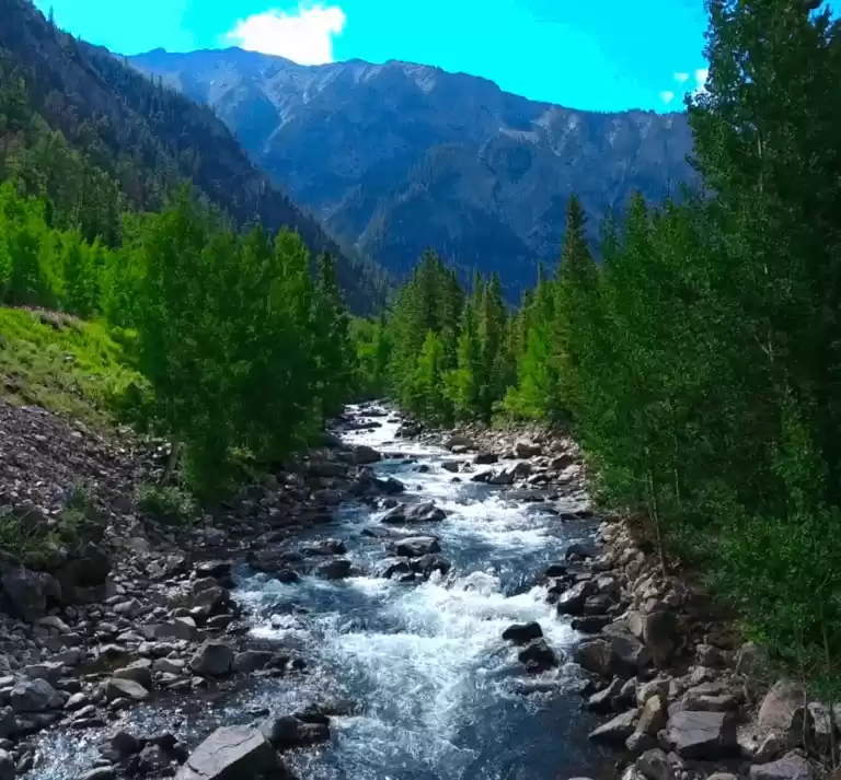 Photo of Why Denver Is So Pop