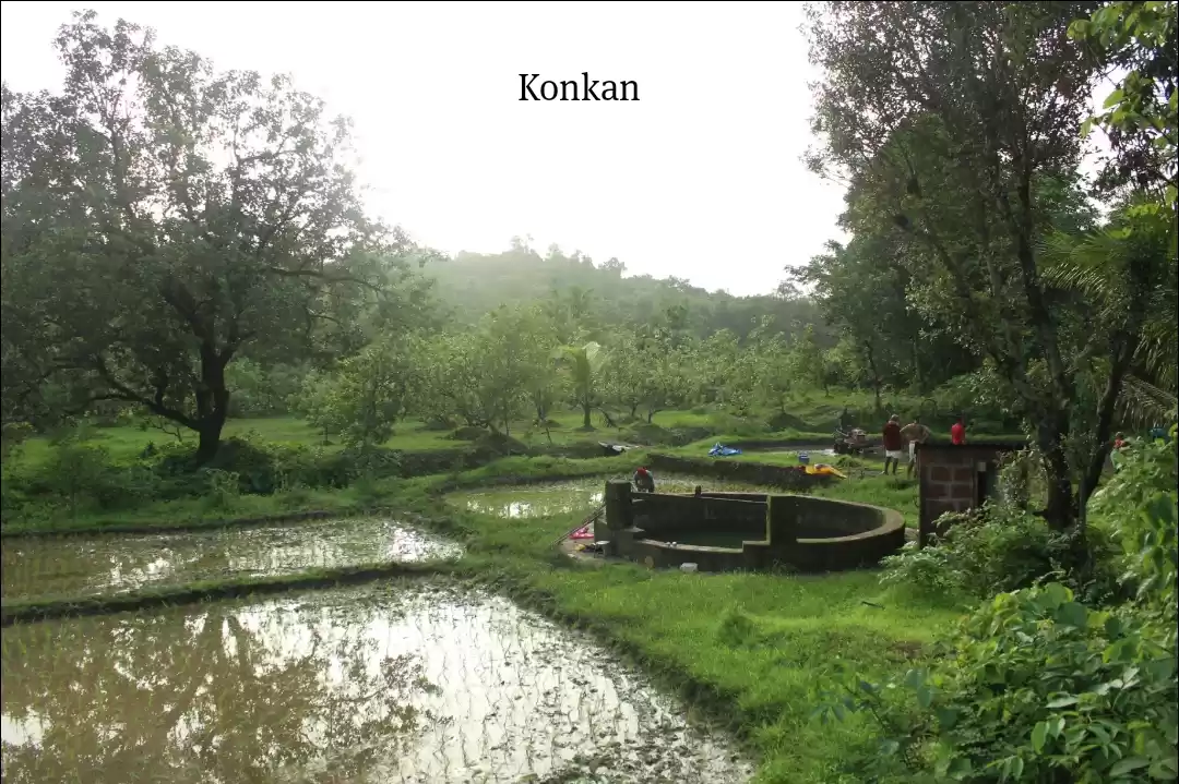 Photo of Konkan Farming