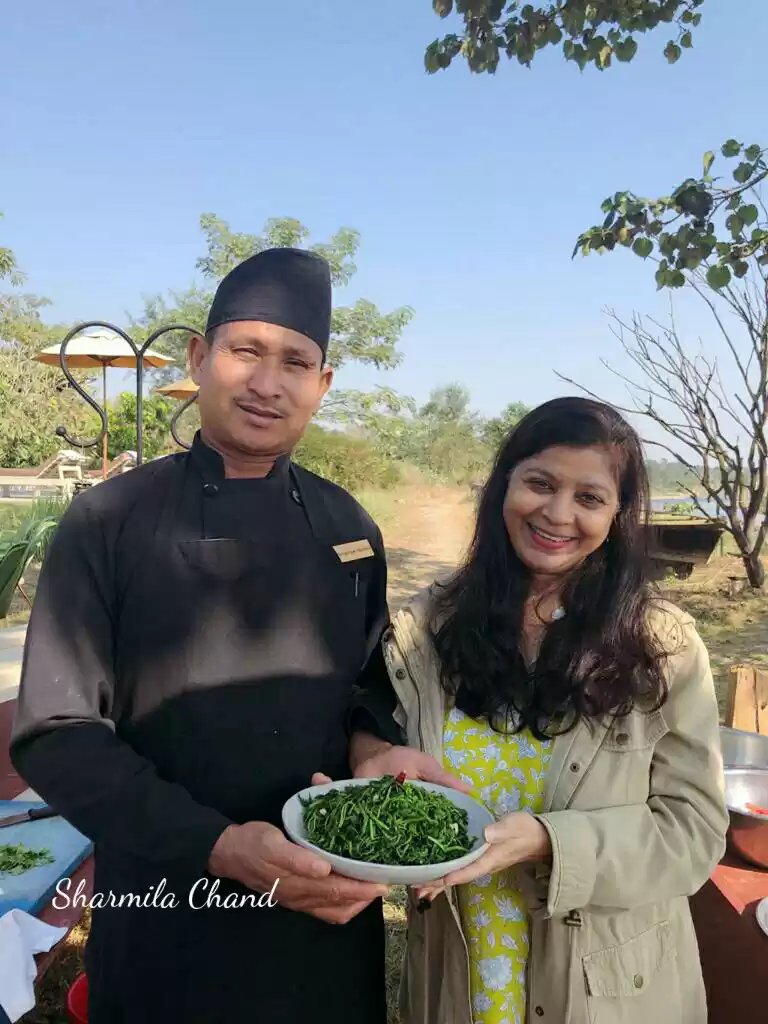 Photo of Barahi Jungle Lodge,