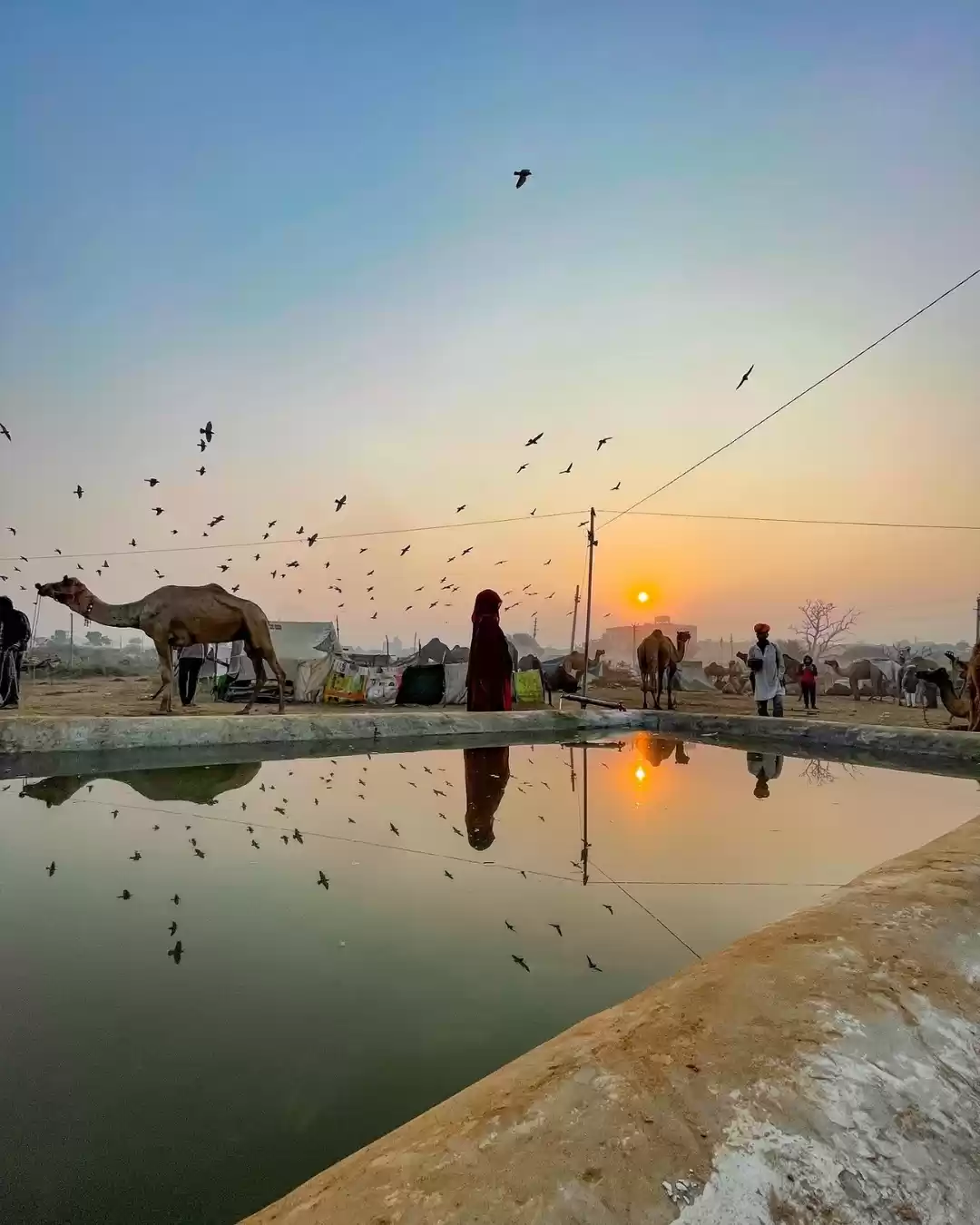 Photo of All you need to know