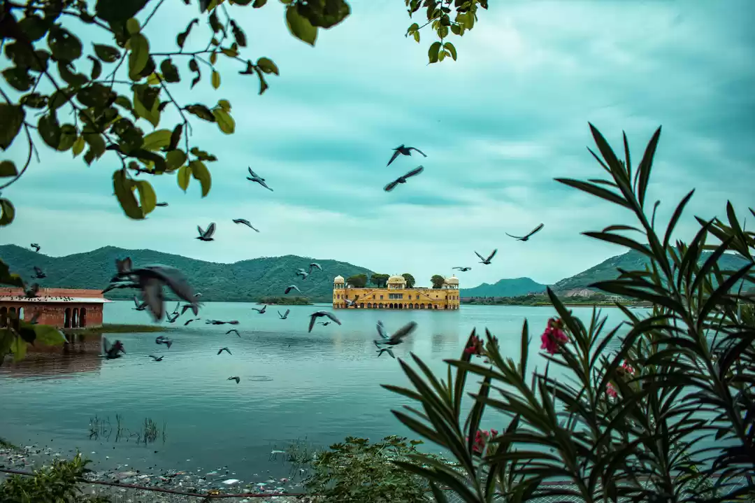 Photo of The other side of ja