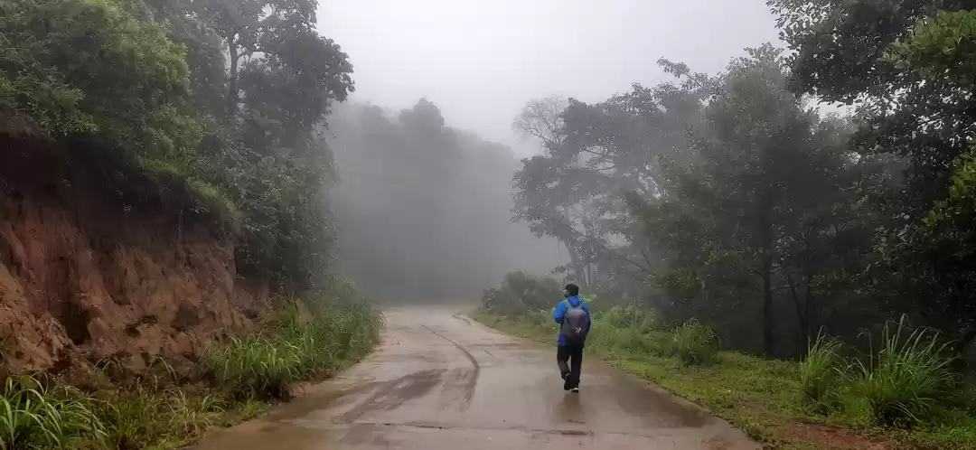 Photo of Walking From Kanyaku