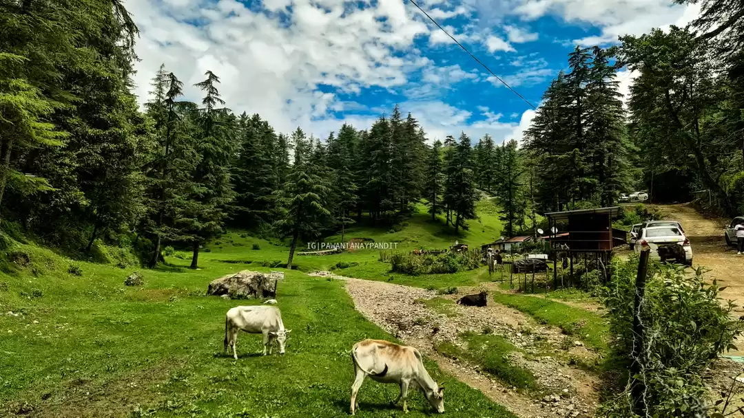 Photo of Trek To George Evere