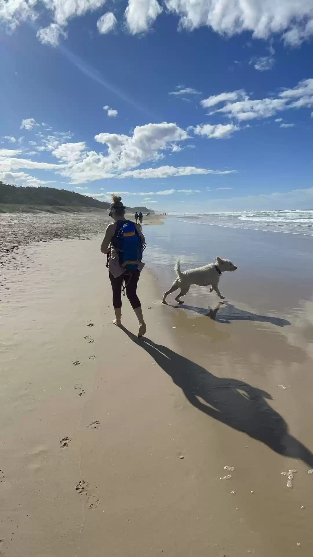 Photo of The Monty’s Travel A