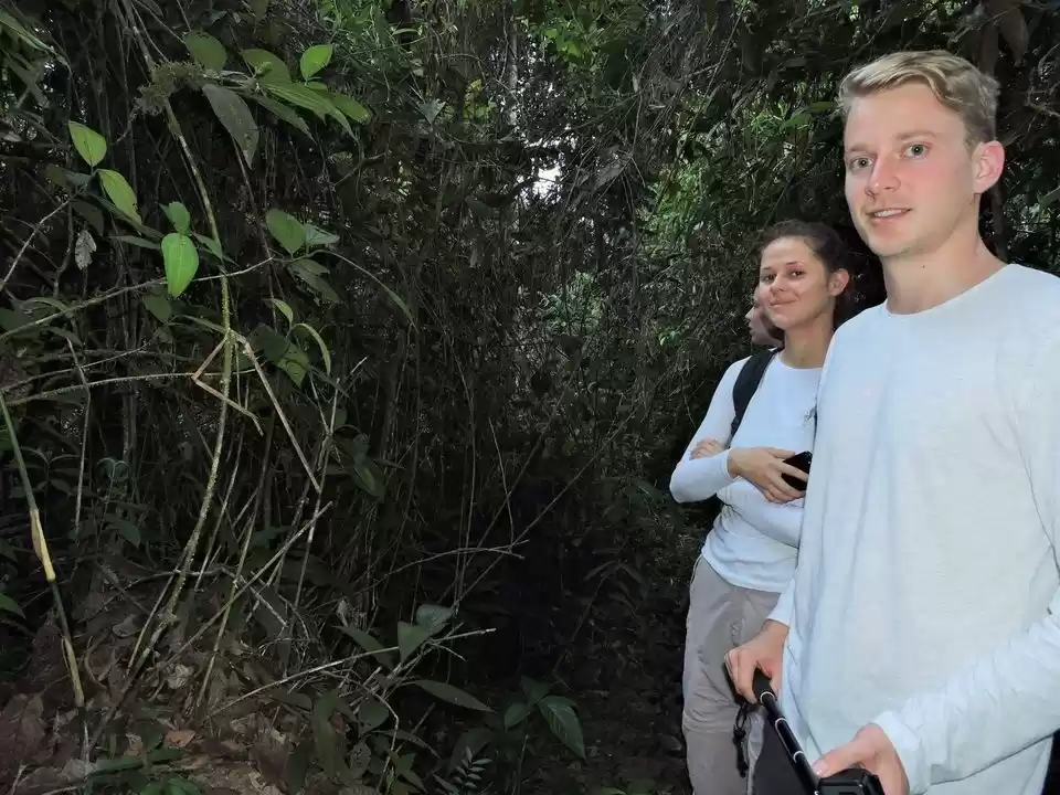 Photo of Rainforest trip from