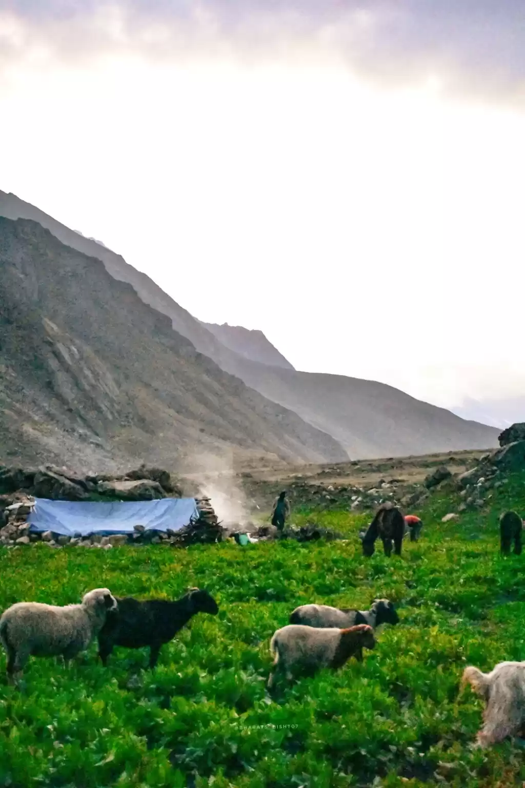 Photo of Raw Himalaya