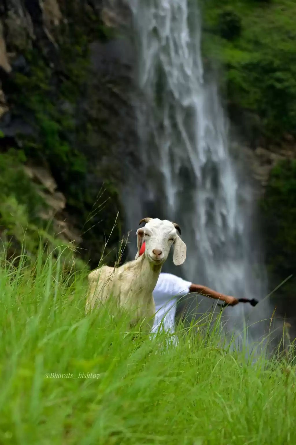 Photo of Ranthi waterfall :mo