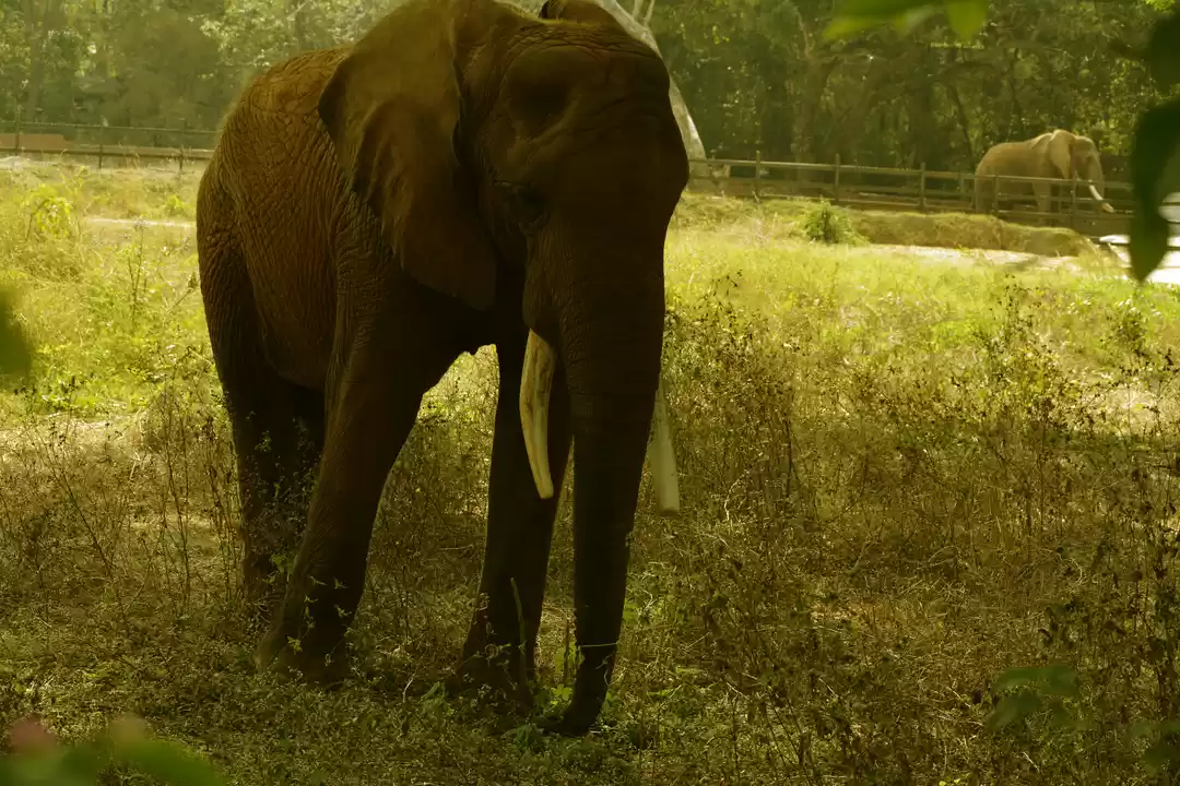 Photo of Read This Before Tra