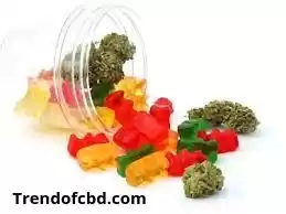 Photo of Bradley Walsh Green CBD Gummies UK