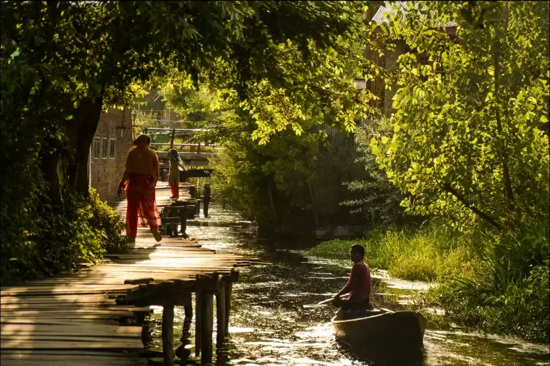 Photo of Dal Lake Srinagar