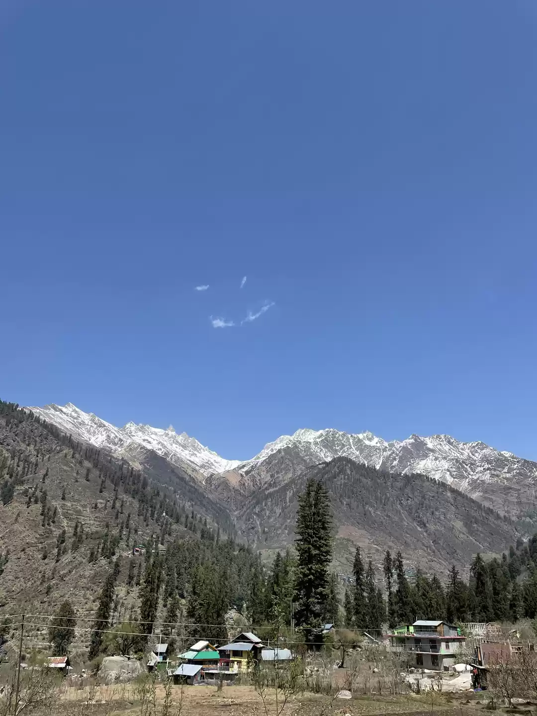 Photo of Escape the escapee -