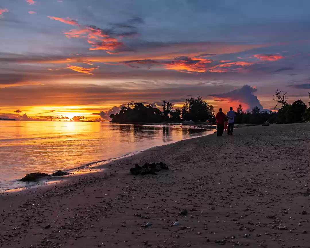 Photo of THE UNEXPLORED PARAD