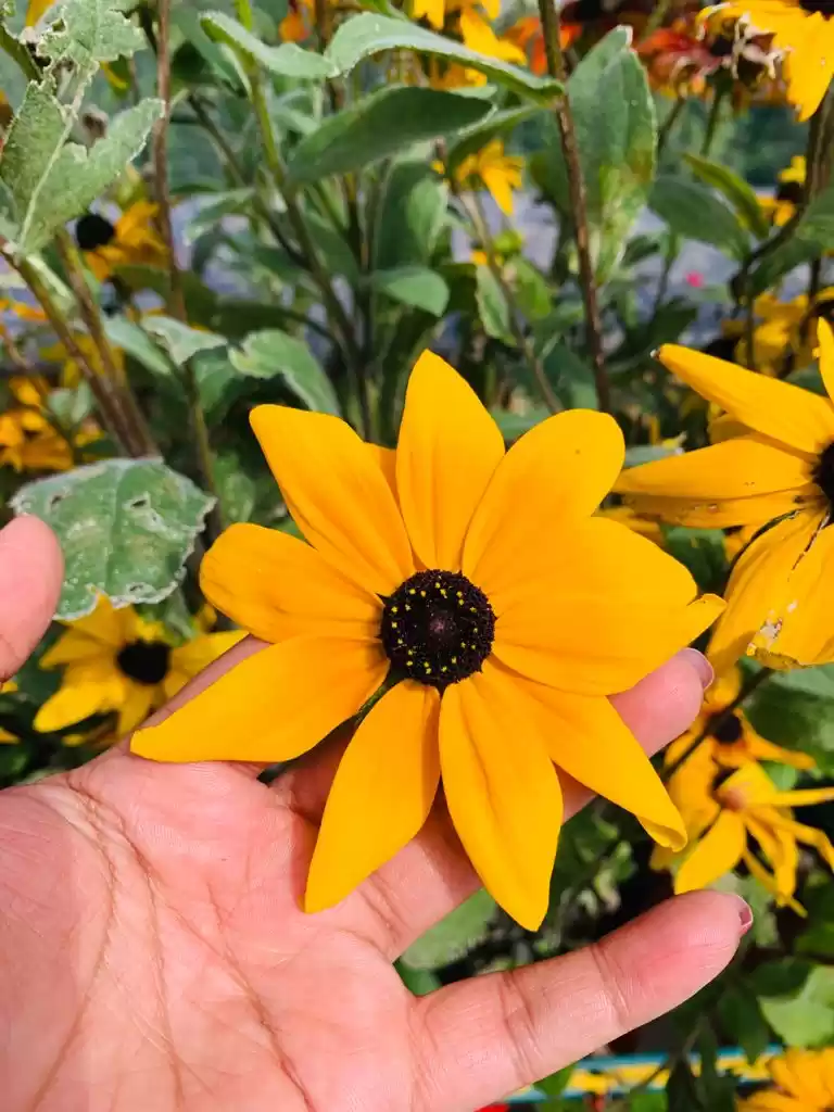 Photo of Best place to Stay i